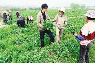 村官不是公务员，大学生村官的工资待遇和福利政策有哪些？