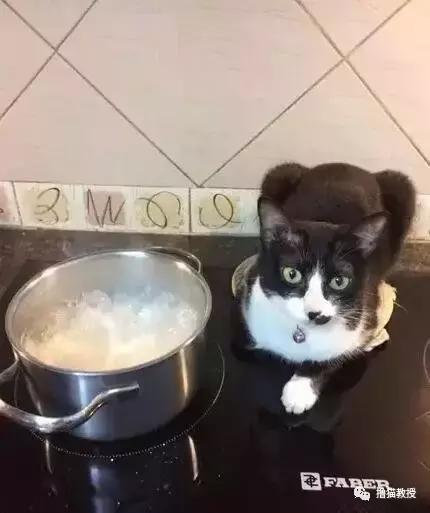 别跟我谈什么梦想我只想躺赢,别跟我谈什么梦想