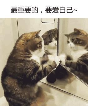 别跟我谈什么梦想我只想躺赢,别跟我谈什么梦想