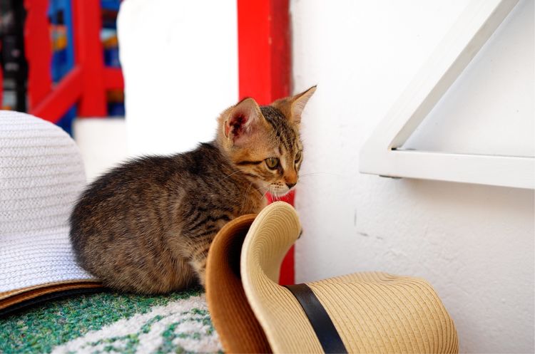 走进希腊的旅行,重温我的希腊旅游点滴