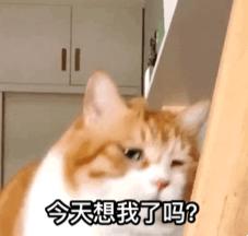 马云爸爸发福利,马云爸爸送礼包