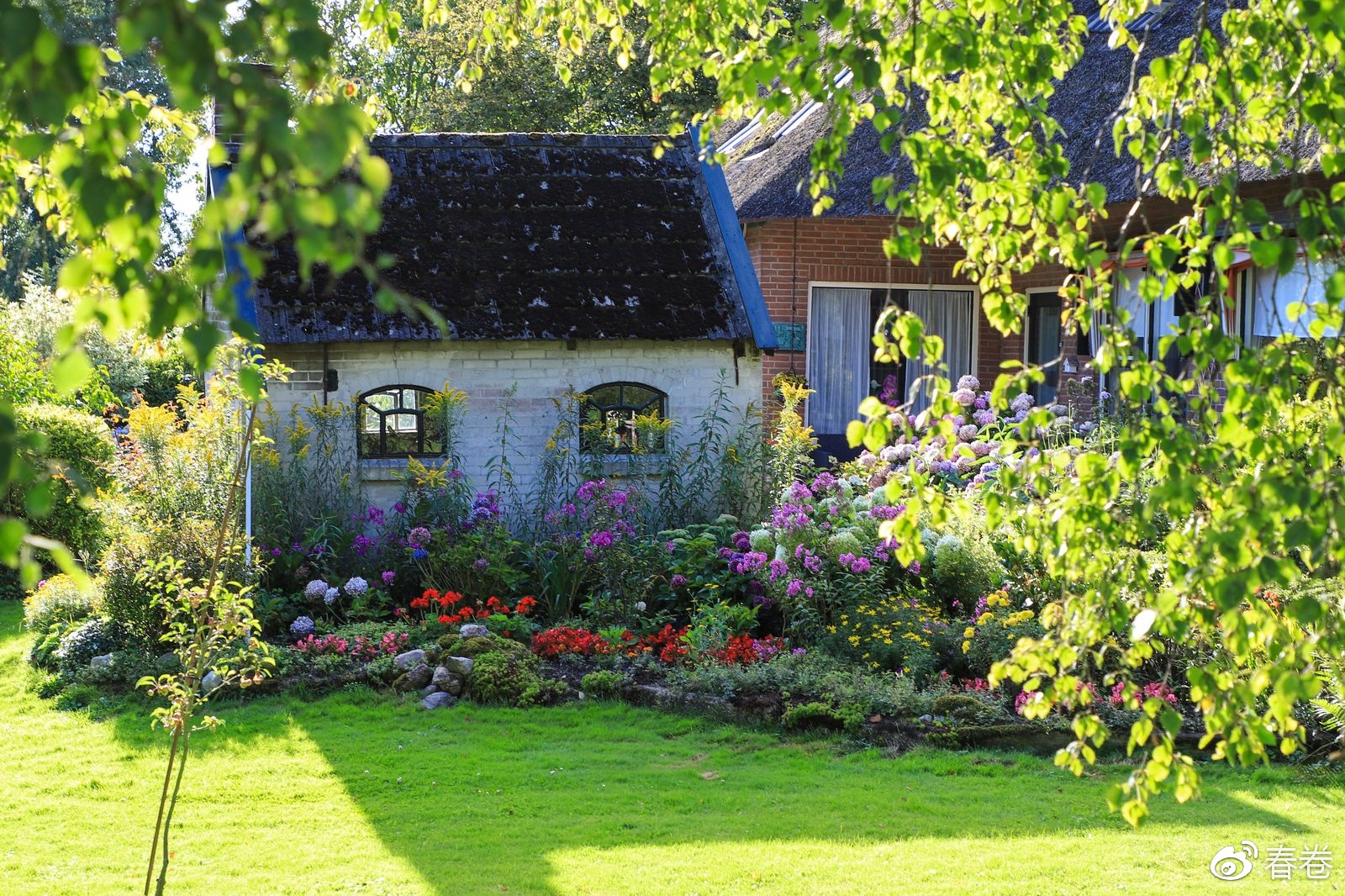 佳能6d2到底值不值得入手,6d2可通过固件升级解决宽容度吗