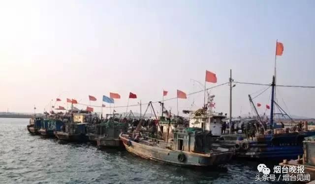 烟台哪里的海鲜便宜又新鲜,山东烟台一年四季的时令海鲜表