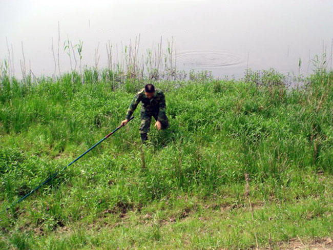 专家说鱼头小孩不能吃,鱼头哪一部分是小孩不能吃的