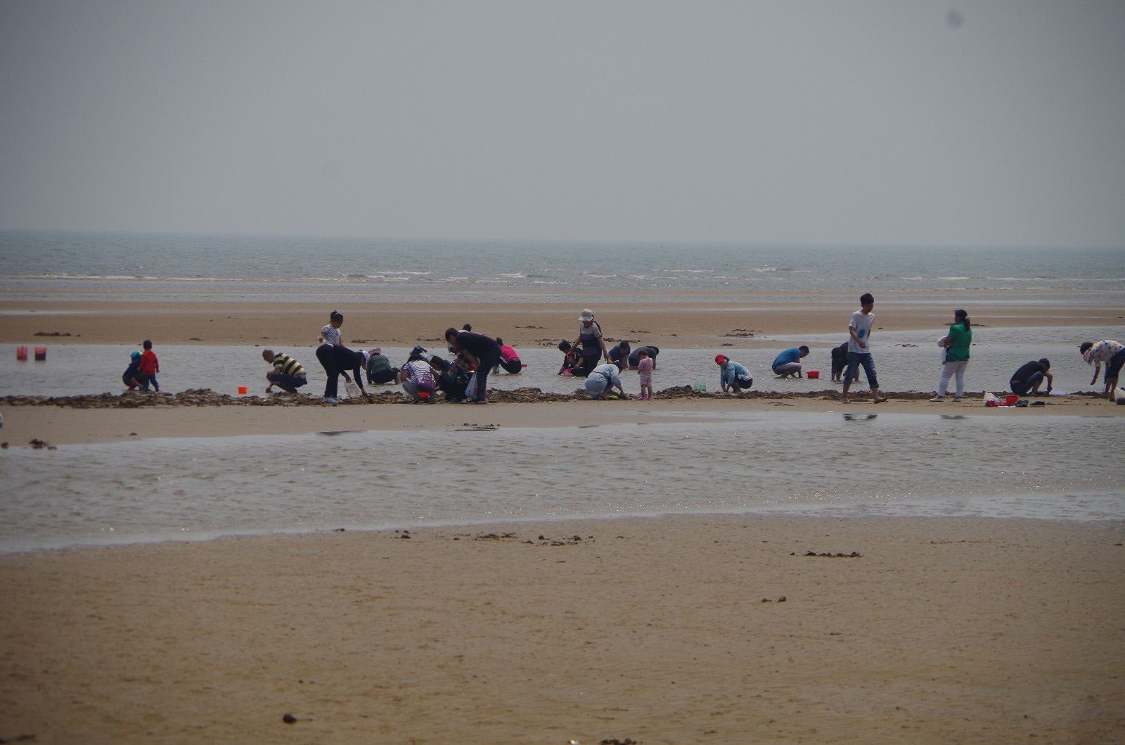 北戴河的鸽子窝公园,北戴河鸽子窝公园之旅