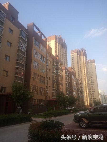 锦和春天,锦和春天到底好不好