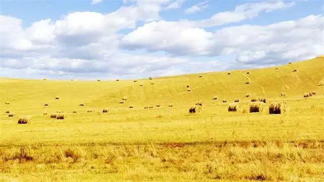 川西最美秋景,四川最美秋景