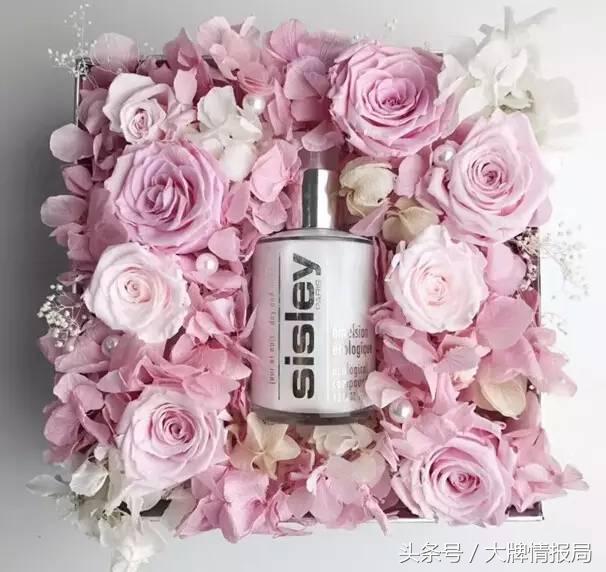 英女王伊丽莎白戴安娜,英国女王和戴安娜王妃