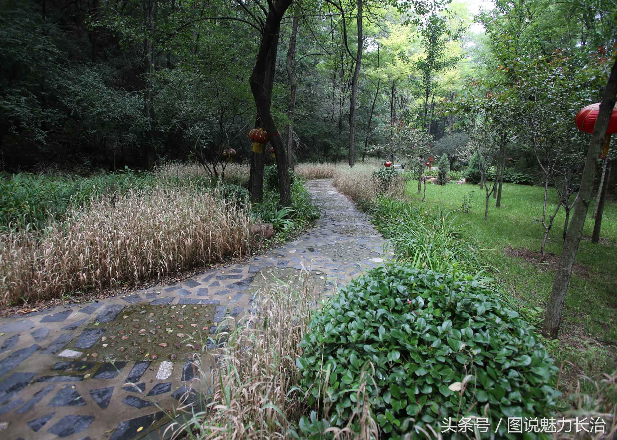 全国百城市足球峰会,2019全国城市足球开幕式