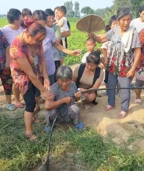 2020年河南省直机关公务员遴选,河南省直机关公开遴选201名公务员