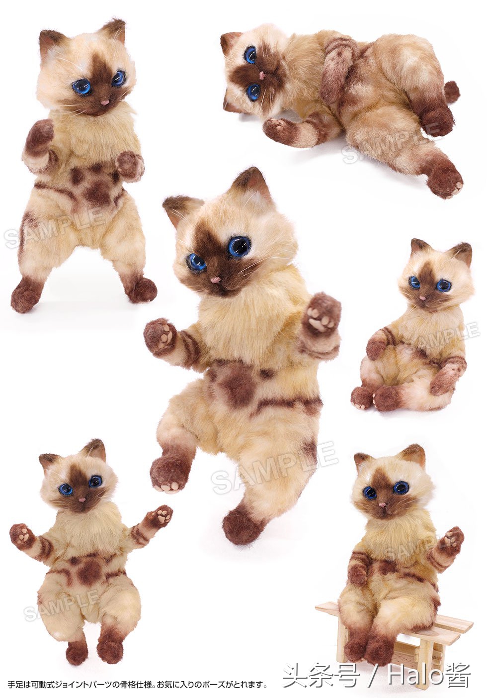 怪物猎人艾露猫孙悟空,怪物猎人艾露猫