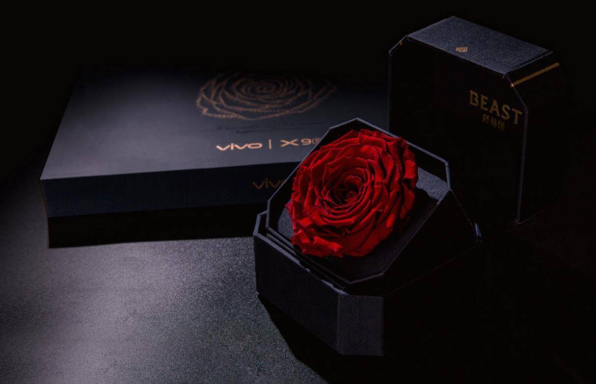 vivox9夏日蓝礼盒,vivox9s礼盒