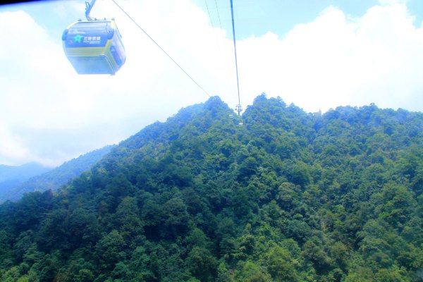 天天有人去山上采蘑菇,每天来观看的游客上万人