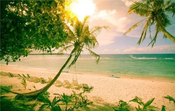 美国免签哪里旅游最好,美国免签的景点