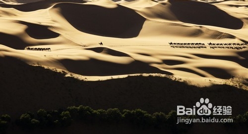 平面设计师总结与思考,平面设计师设计复盘总结