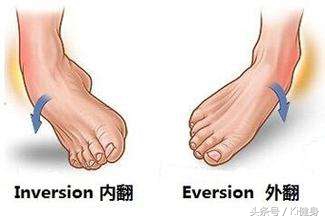 小腿肌肉ct解剖图,小腿肌肉解剖学讲解