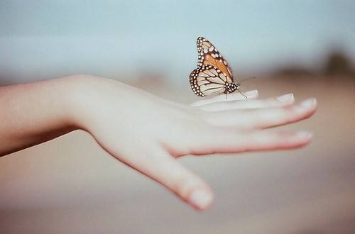 首位瑶女郎，李敖最漂亮红颜知己，那久远的琼瑶命的美人……