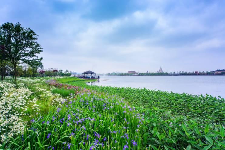 去上海迪士尼玩的详细攻略,去上海迪士尼玩一天的攻略