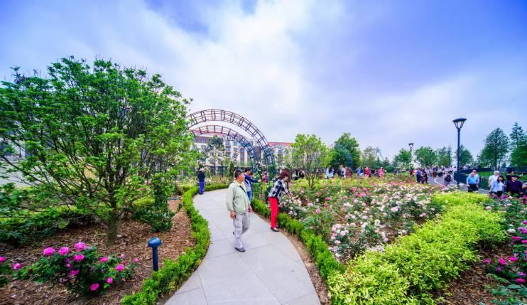 去上海迪士尼玩的详细攻略,去上海迪士尼玩一天的攻略