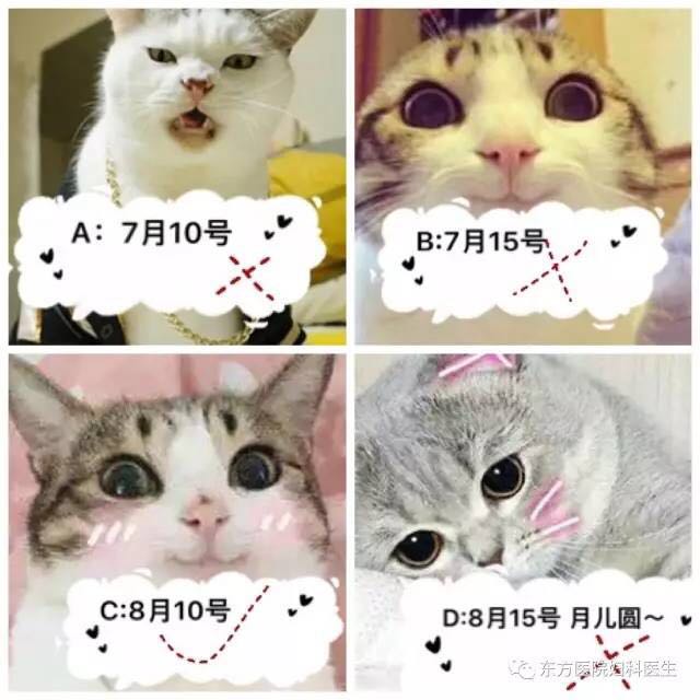 妇科炎症排毒姿势,妇科泡腾片正确塞药姿势