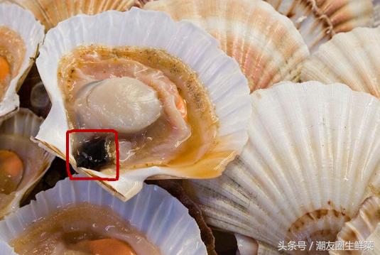 吃海鲜这些事一定要注意,吃海鲜了哪些水果不能吃