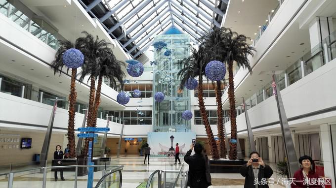 杭州自驾到舟山旅游攻略,杭州湾自驾游一日游