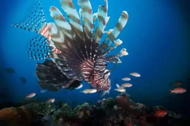 暑假菲律宾夏令营,菲律宾pg岛住宿攻略
