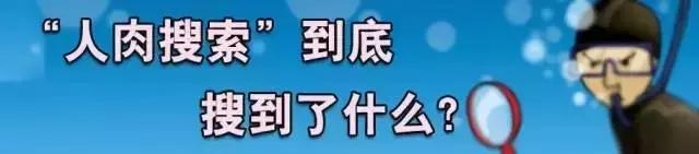 策划搜索,人肉搜索产业链调查