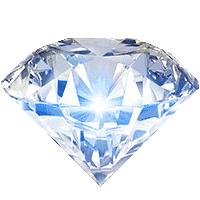 鏄庢槦鍚屾绉嶈崏濂界墿,鏄庢槦绉嶈崏鎺ㄨ崘