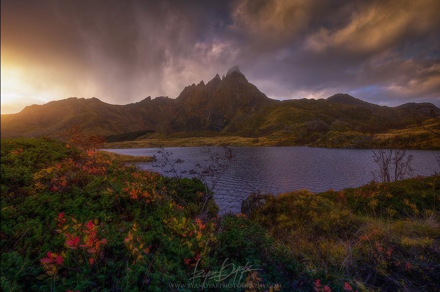 姊︿腑绉樺,姊﹂噷绉樺