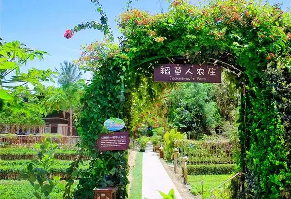 亚龙湾红树林酒店室内玩乐,亚龙湾红树林酒店潜水体验