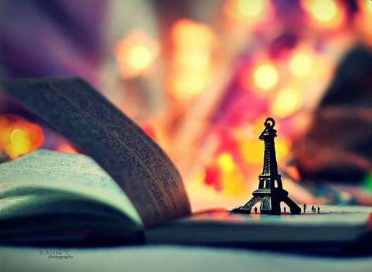 会计从业证会计基础练习题,全面解读会计从业考试试题趋势