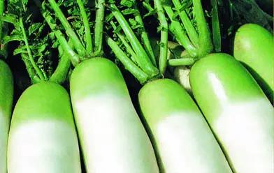 五个治咳嗽的小妙方,一招解决咳嗽小偏方