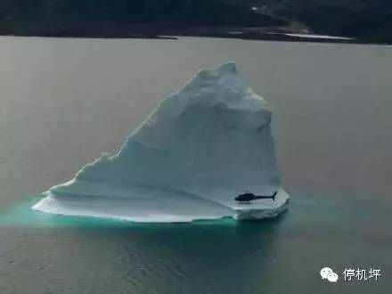 飞机：你赔我鼻子！鸟：妈的智障