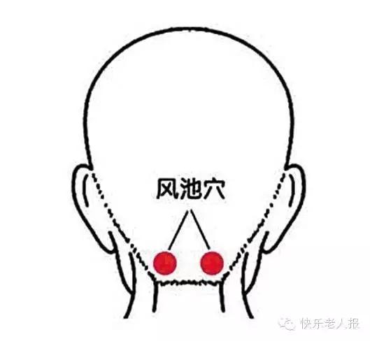 身上的降压穴位图,身上有哪几个降压穴