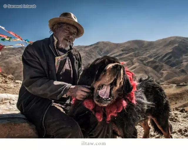 涓浗鐙湁鐘钘忕崚,甯呯嫍鍝佺钘忕崚