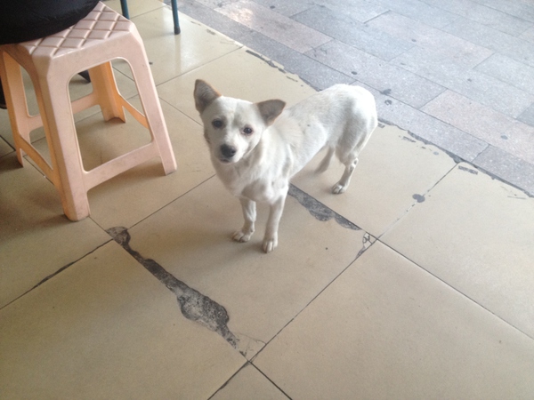 厦门的网红“泉州”，人少而冷门的吃货天堂