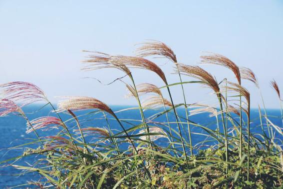 到了韩国才发现，以前的“韩流印象”都是骗人的!