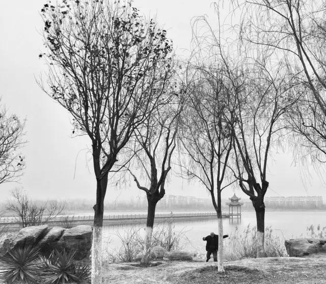 CMPA|2016年3月7日编辑推荐作品