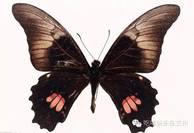 一个月挣多少钱在兰州市能卖房,一个月挣多少钱才能买衣服