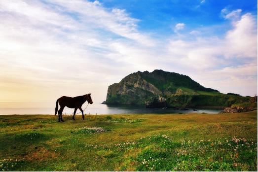 到了韩国才发现，以前的“韩流印象”都是骗人的!