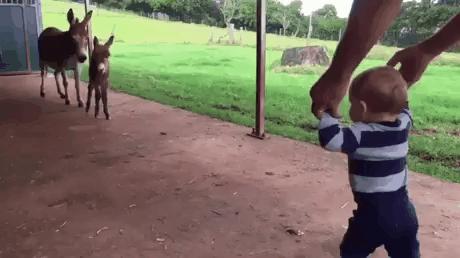 篮球野球场搞笑图片,篮球搞笑图片大全大图