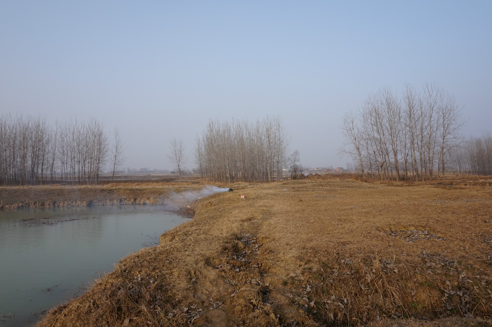 回乡偶书中的离别家乡,回乡偶书之一离别家乡