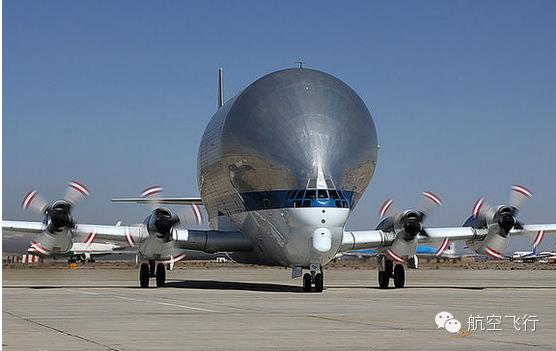 变异变形飞机,变异飞机鹦鹉