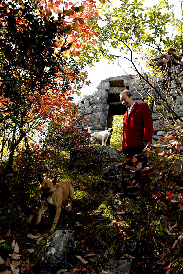 循香识味赏景尝鲜|看,鄂西北的山珍催促着我们追寻食物的脚步
