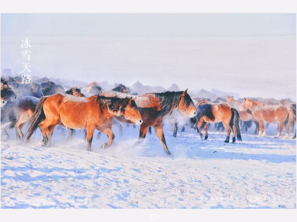牧马少年歌曲完整版,牧马少年草原