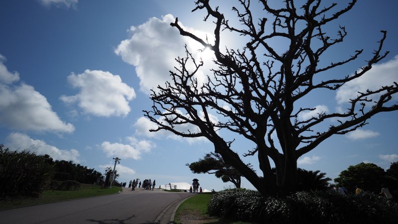 奥林巴斯相机镜头参数,奥林巴斯penf实拍样张