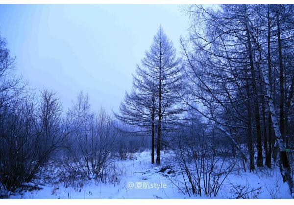 牧马少年歌曲完整版,牧马少年草原