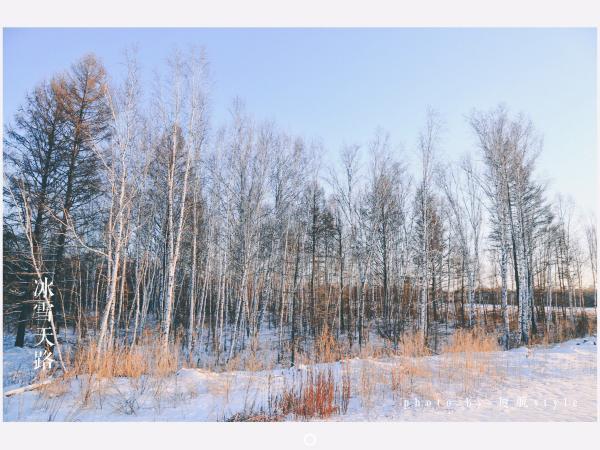 牧马少年歌曲完整版,牧马少年草原