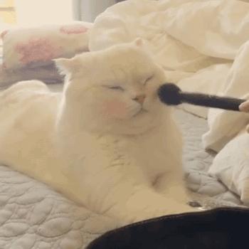 洗面奶一定要选对,洗面奶不可以选哪种